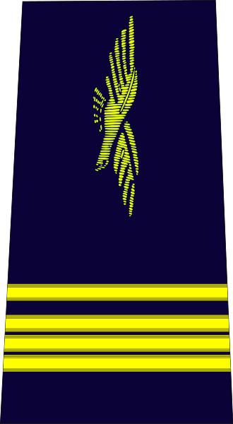 ملف:French Air Force-commandant.svg