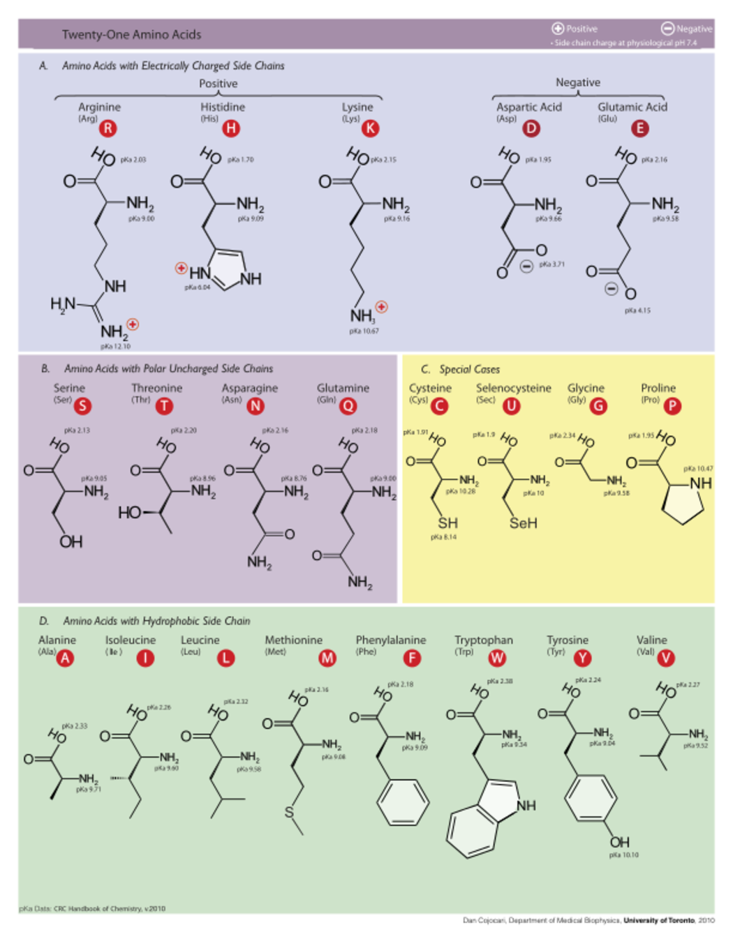 Table of amino acids