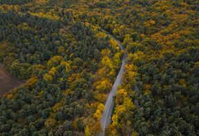 3615554 تصاویر هوایی جاده های پاییزی جنگل های هیرکانی.jpg