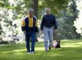 President George W. Bush and Chief of Staff Josh Bolten walk together with the President's dog, Barney, at Camp David, July 21, 2007.