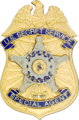 Secret Service badge (2003–present)