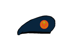 General command Beret - Egyptian Army.png