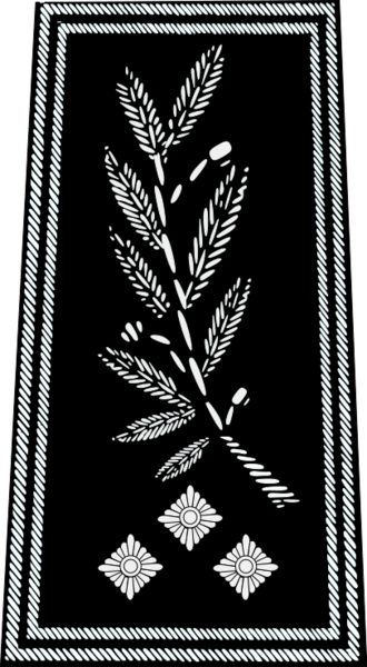 ملف:Police nationale-inspecteur général.svg