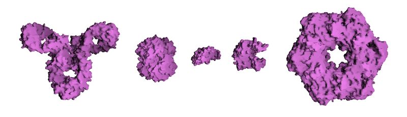 ملف:Protein Composite.jpg