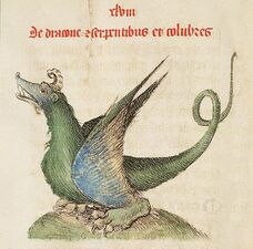 A medieval illustration of a dragon (1460)