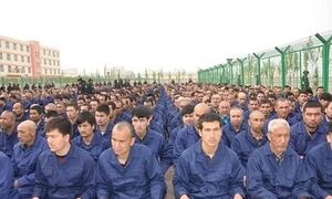 صورة لكثير من رجال الأويغور يرتدون ملابس زرقاء متطابقة ويجلسون في صفوف. يوجد على الجانب الأيمن من الصورة سياج من الأسلاك الشائكة. الرجال داخل معسكر لإعادة التأهيل.