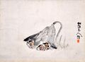 Koroppokuru Beneath a Butterbur, by Matsuura Takeshirō (Hakodate City Museum) (Municipal Tangible Cultural Property)[15]