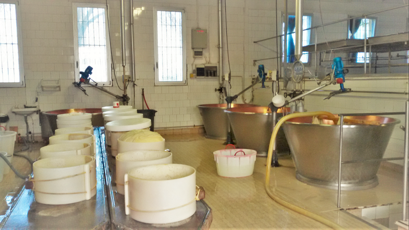 ملف:Parmigiano-Reggiano Factory.png