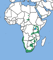 خريطة النطاق