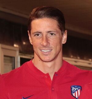 Fernando Torres 2017.jpg