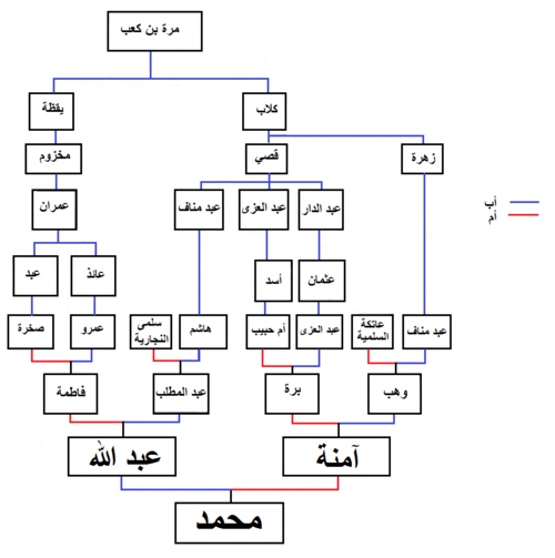 Muhammad familytree1.png