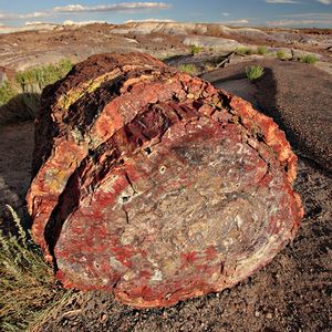 End-on view of a large reddish log in an eroded landscape