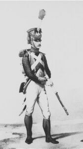 A Tirailleur of the 1e Regiment Tirailleurs, Young Guard, 1811