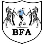 Botswana Football Logo 2017.jpg