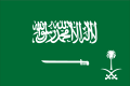 Royal Standard of the Crown Prince of Saudi Arabia. (Ratio: 2:3)