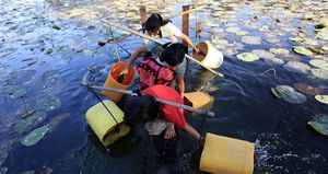 نساء بورميات يملأن المياه في احدى البحيرات بالقرب من قريتهن.JPG