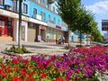 Flowers on the main street of Makiivka