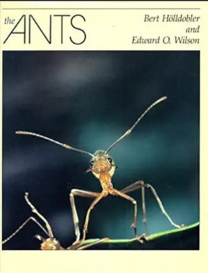 غلاف كتاب النمل، لإدوارد ولسون.