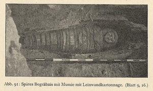 photograph of a mummy