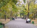 Ştefan cel Mare Central Park