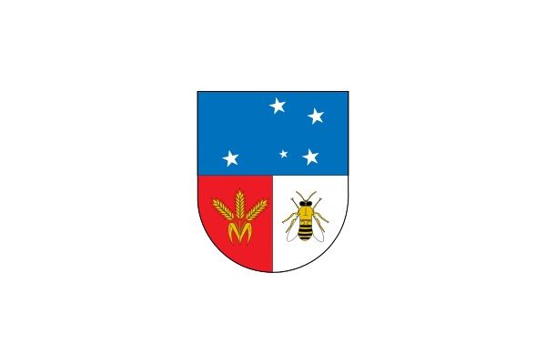 ملف:Flag of Colonia Department.svg
