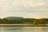 An autumnal morning at a lake