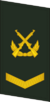 PLAGF-Collar-0704-SGT.png