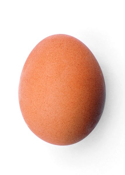 ملف:Chicken egg 2009-06-04.jpg
