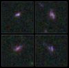 Hubble Ultra Deep Field region of the Cosmic Assembly Near-infrared Deep Extragalactic Legacy Survey.jpg