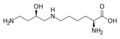 Hypusine. This amino acid is obtained by adding to the ε-amino group of a lysine a 4-aminobutyl moiety (obtained from spermidine)