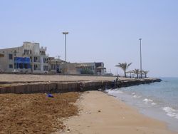 شاطئ الخليج العربي في بوشهر
