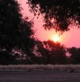 Namibian sunset.
