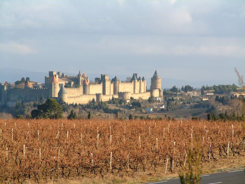 ملف:Carcassonne-vignes-2.jpg