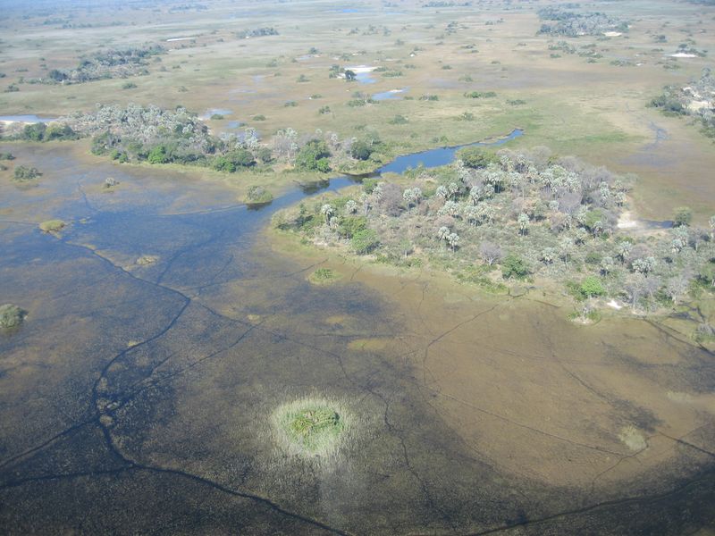 ملف:Okavango11.jpg
