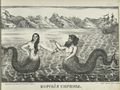Mermaid and merman, 1866. Unknown Russian folk artist