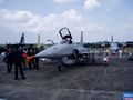 An AGM-65 Maverick armed Northrop F-5S Tiger-II.