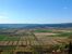 Čepić field seen from Kožljak.JPG