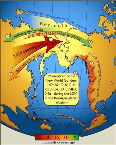 Schematic illustration of maternal geneflow in and out of Beringia. Colours of the arrows correspond to approximate timing of the events and are decoded in the coloured time-bar. The initial peopling of Berinigia (depicted in light yellow) was followed by a standstill after which the ancestors of indigenous Americans spread swiftly all over the New World, while some of the Beringian maternal lineages–C1a-spread westwards. More recent (shown in green) genetic exchange is manifested by back-migration of A2a into Siberia and the spread of D2a into north-eastern America that post-dated the initial peopling of the New World.