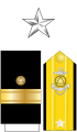 The collar star, shoulder boards, and sleeve stripes of a National Oceanic and Atmospheric Administration rear admiral (lower half)