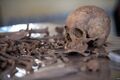 Exhumed skeletal remains of victims of the Isaaq genocide found from a mass grave site located in Berbera, Somaliland.