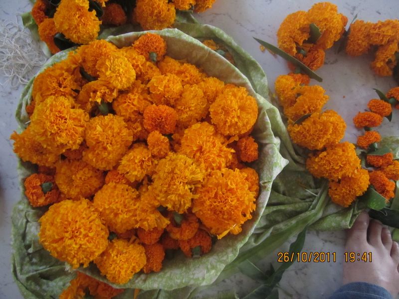 ملف:Flower Garlands for Dipavali garnishing.jpg