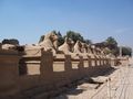 Ram statues at Karnak