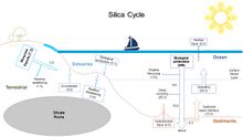 Silica cycle-draft.jpg