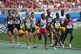 World athletics final Stuttgart 2007 1500m.jpg
