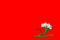 National Maanid Flag