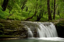 هفت آبشار جنگلهای هیرکانی روستای تیرکن شهرستان بابل 2019.jpg