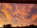 Picture taken of Mammatus Clouds in Squirrel Hill (Pittsburgh) Pennsylvania on June 16th 2022 around 9:02pm.