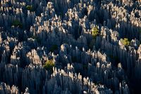 منظر لغابات تسينگي الصخرية وقت الغروب.