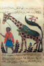 A giraffe from "Kitāb al-ḥayawān" (Book of the Animals) by Al-Jahiz.