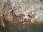 Deer painting in cave